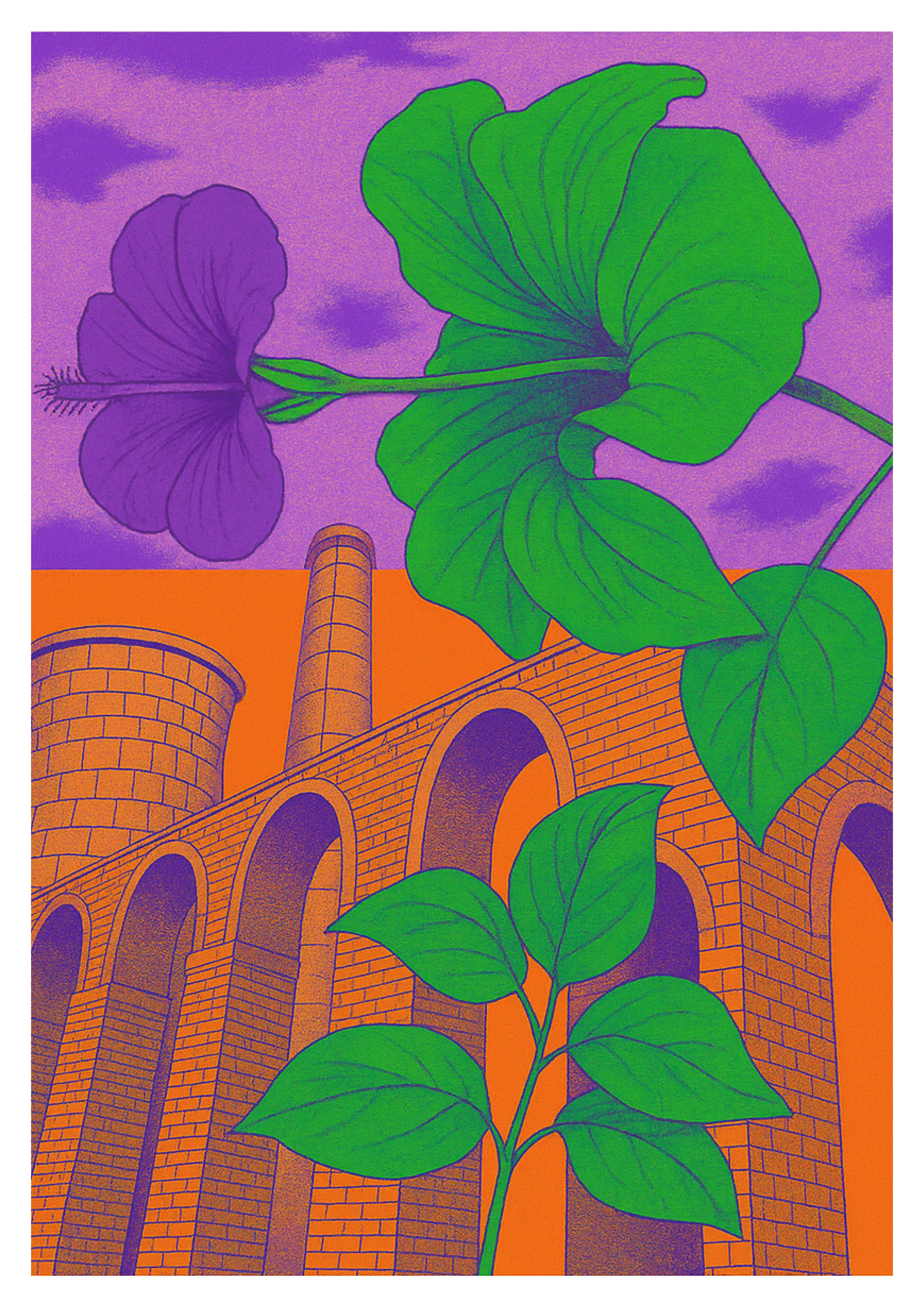 Dreamer | Print