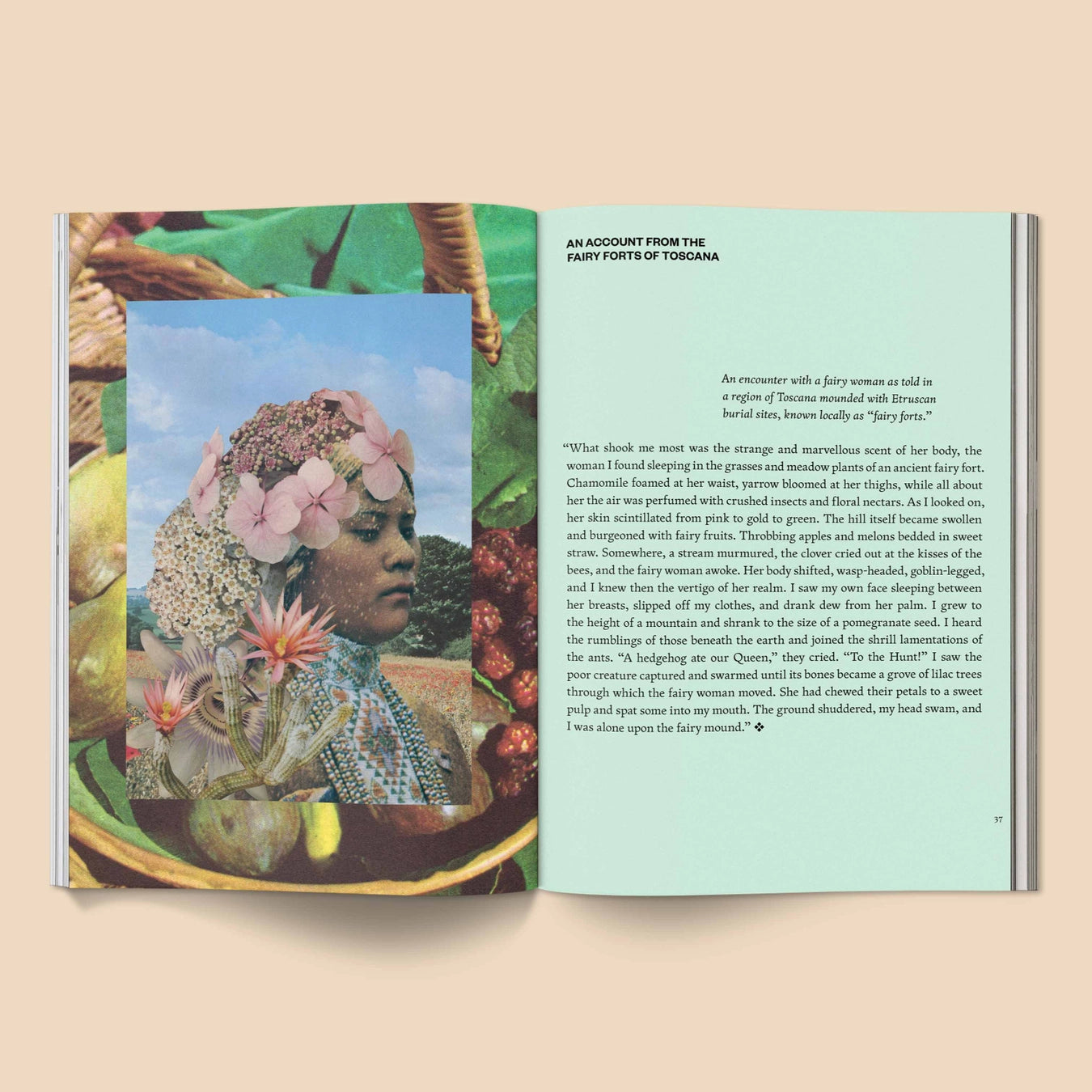 Inside of "Fruit of Mythic Dreaming" by Bethany van Rijswijk, a 40-page art book published by Broccoli, featuring surreal collage artwork and imagined folklore inspired by myth, nature, and dreamworlds.