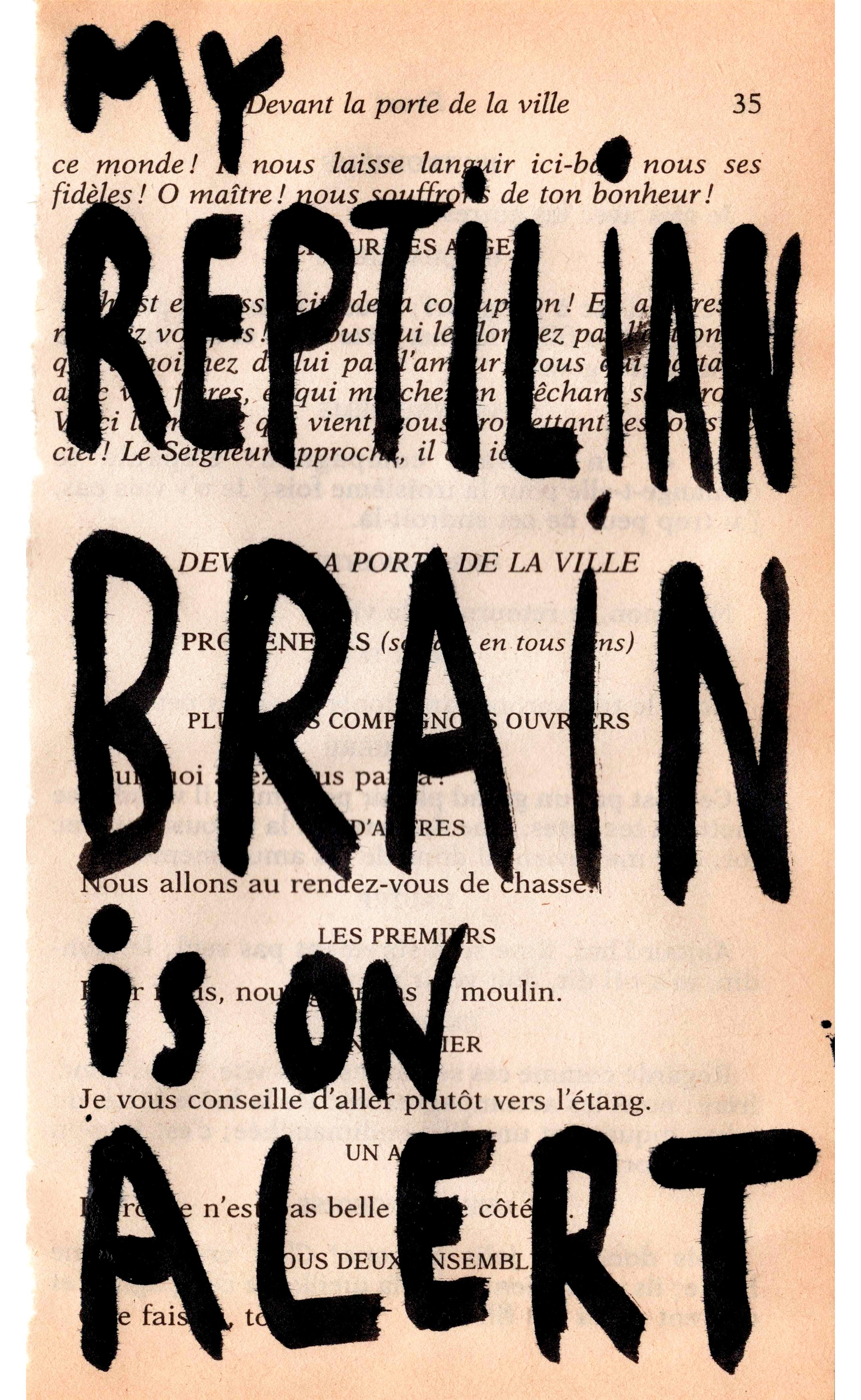 charlotte-denise-paulette-martin-my-reptilian-brain-is-on-alert