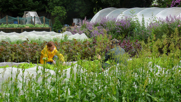 Changing the food system