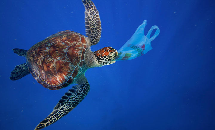 Plastic is not Vegan