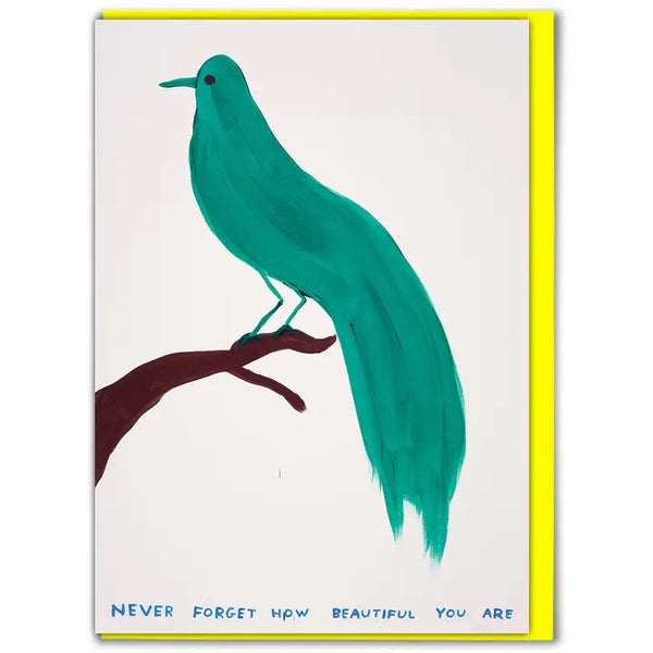 Green bird with typography never forget how beautiful you are card by David Shrigley.