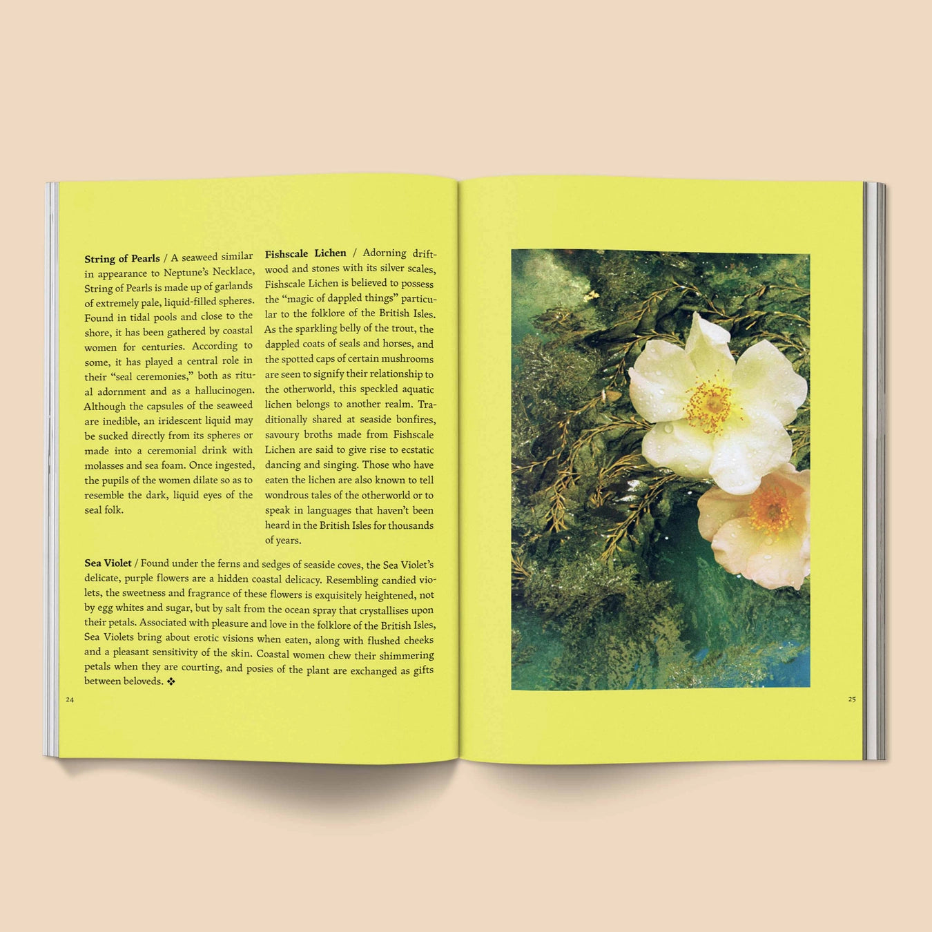 Inside of "Fruit of Mythic Dreaming" by Bethany van Rijswijk, a 40-page art book published by Broccoli, featuring surreal collage artwork and imagined folklore inspired by myth, nature, and dreamworlds.