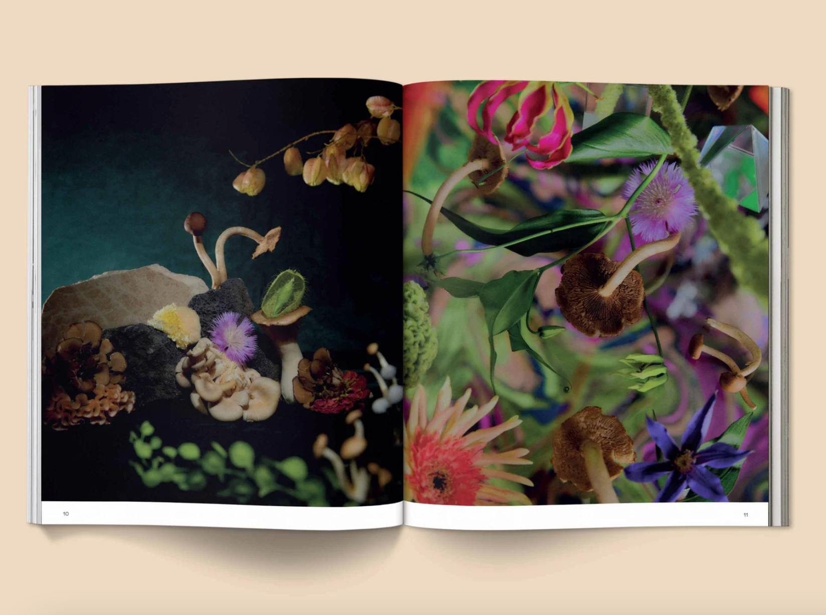 broccoli-mag-Spores-Magical-Mushroom-Photography-cuemars