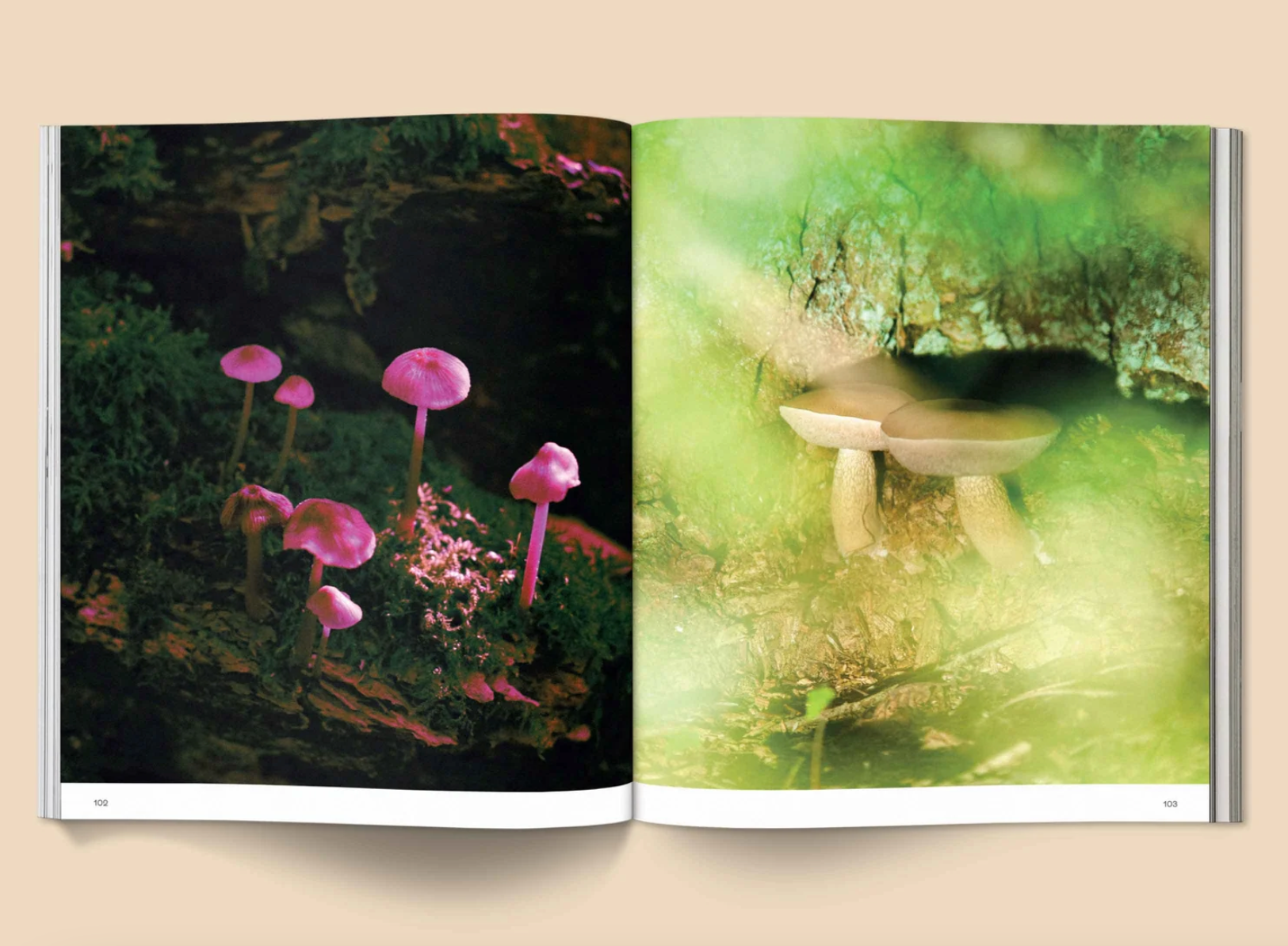 broccoli-mag-Spores-Magical-Mushroom-Photography-cuemars