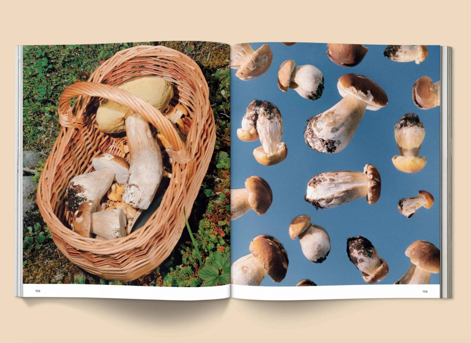 broccoli-mag-Spores-Magical-Mushroom-Photography-cuemars