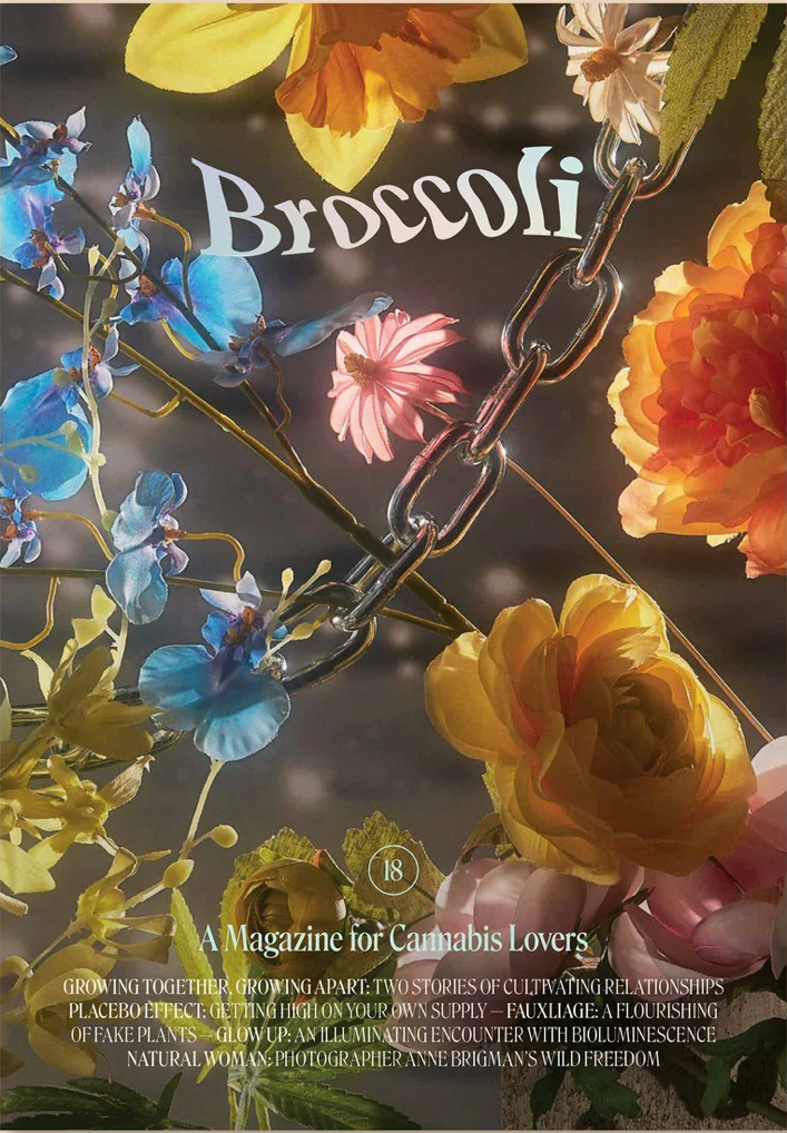 broccoli-mag-issue-18-cuemars