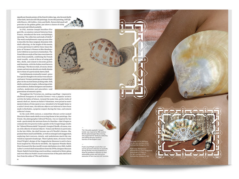 Broccoli Mag | Issue 4