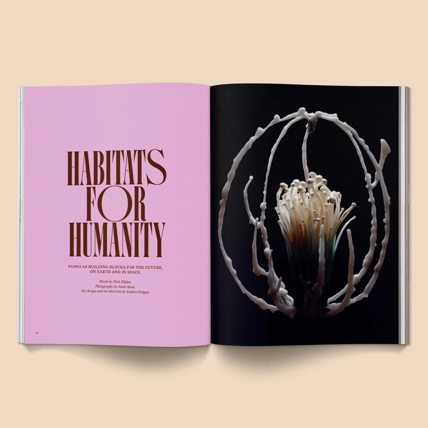 broccoli-mag-mushroom-people-magazine-for-mycopriles-cuemars
