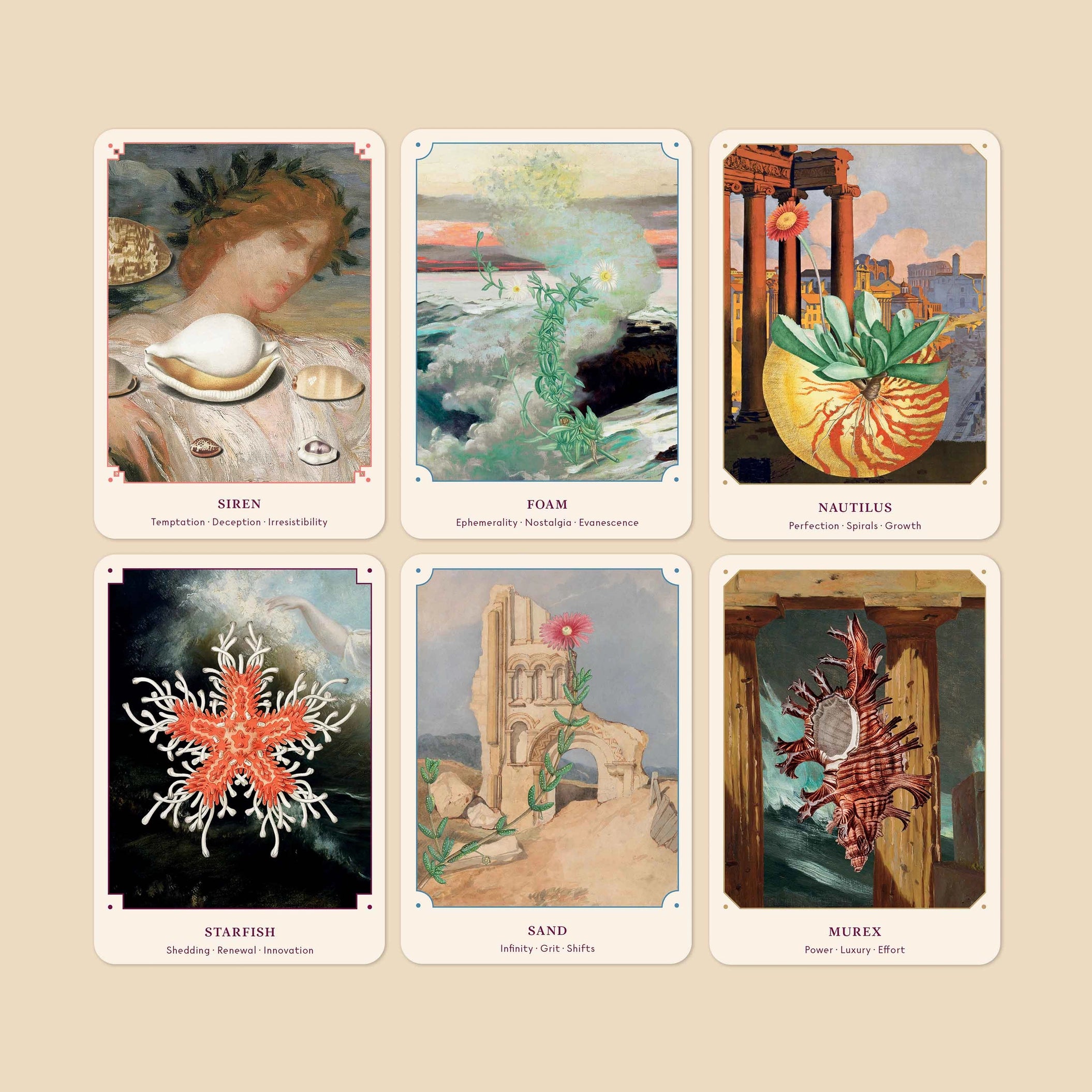 The Seashell Oracle | Broccoli Mag | Discover on Cuemars – CUEMARS