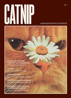 Cat magazine with an orange cat with a flower on the nose, by Broccoli Magazine. Available at www.cuemars.com