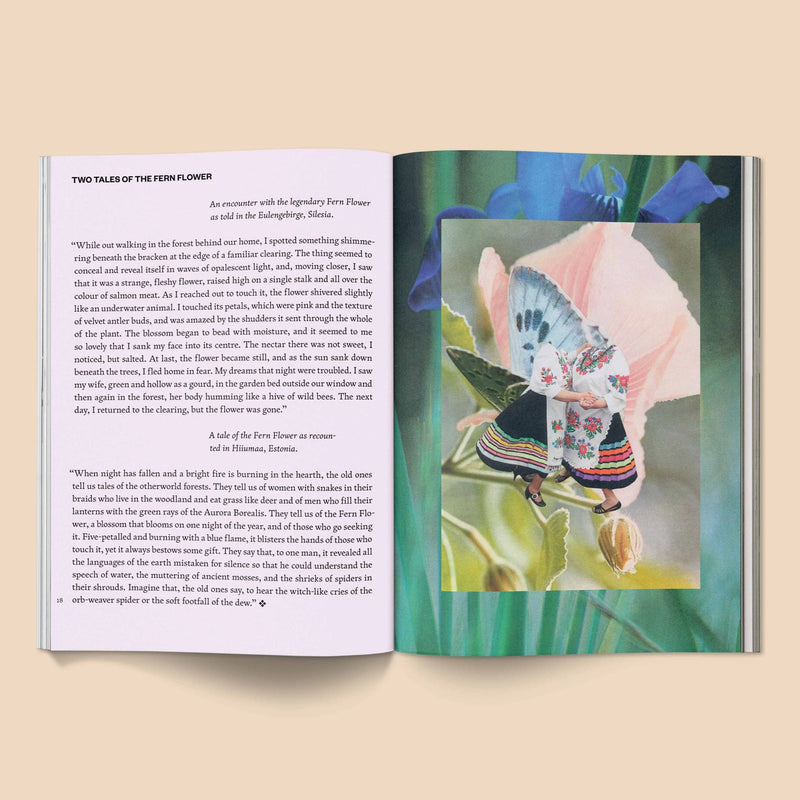 Inside of "Fruit of Mythic Dreaming" by Bethany van Rijswijk, a 40-page art book published by Broccoli, featuring surreal collage artwork and imagined folklore inspired by myth, nature, and dreamworlds.