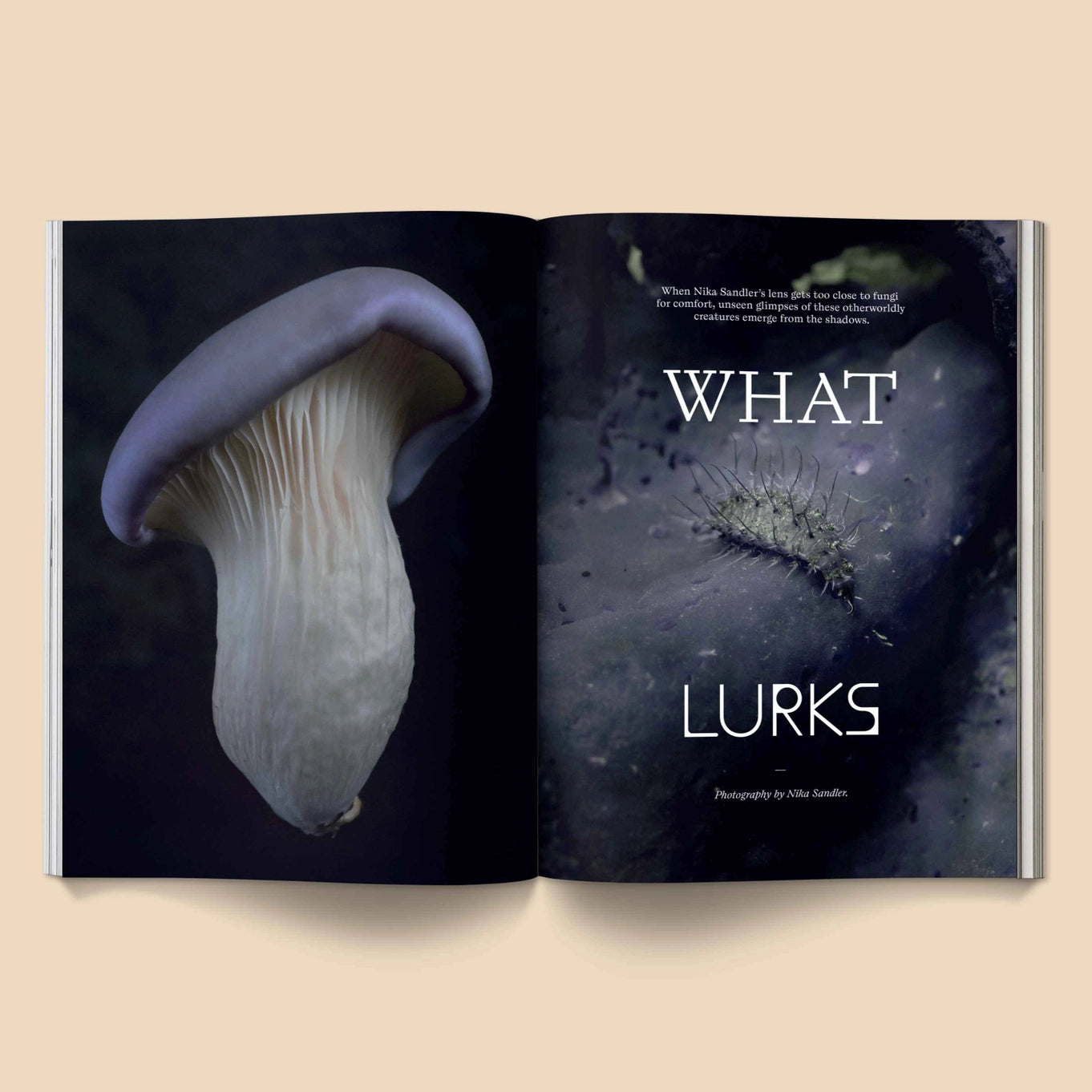 broccoli-mag-mushroom-people-magazine-for-mycopriles-cuemars