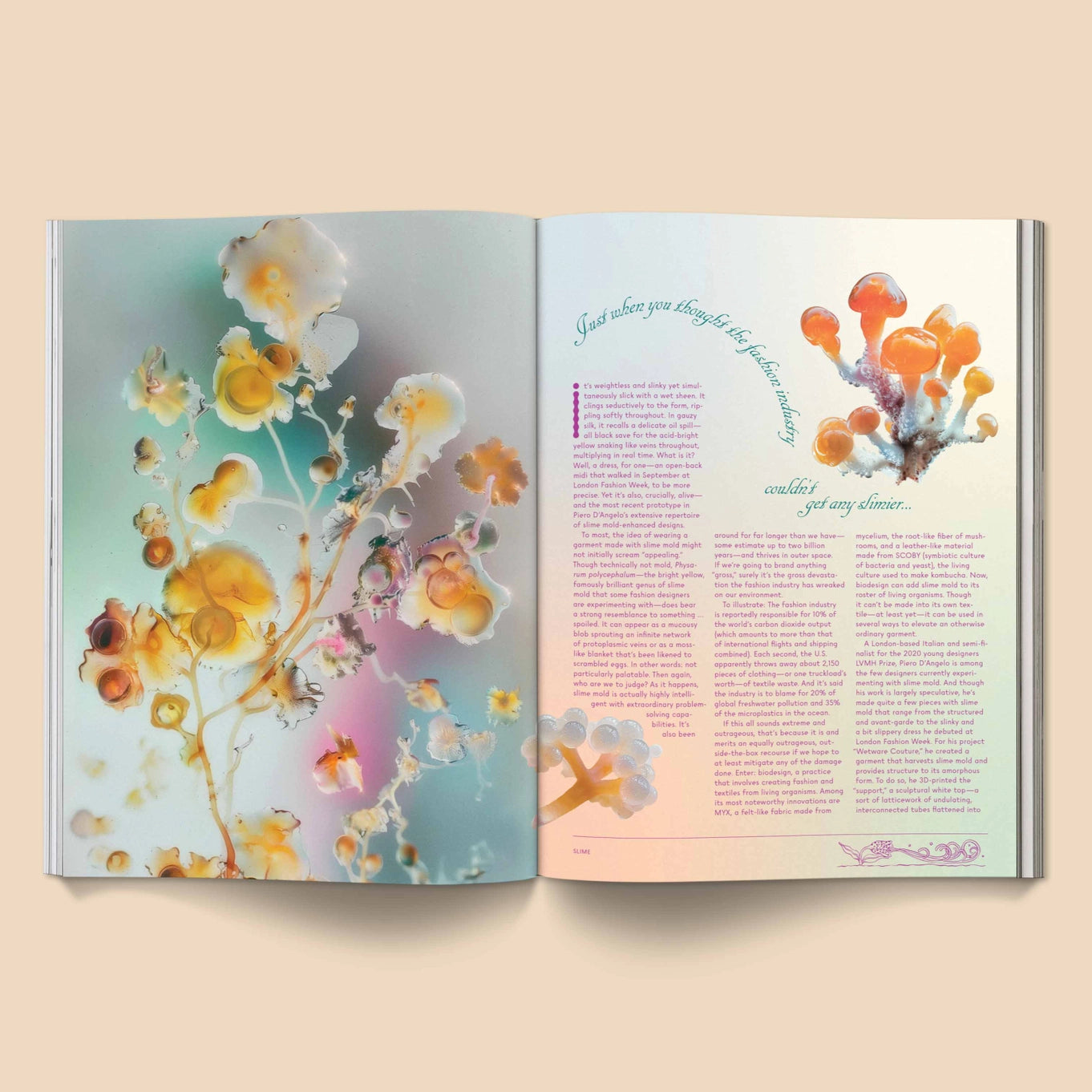 broccoli-mag-mushroom-people-magazine-for-mycopriles-cuemars
