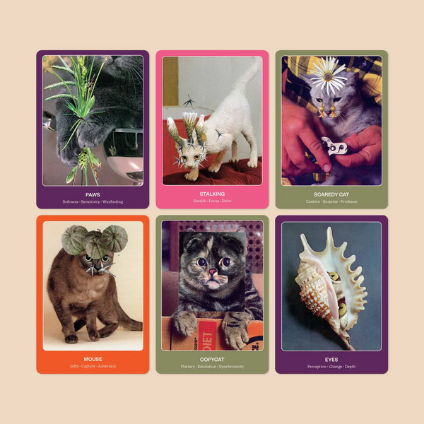 Cat inspired oracle with guidebook by Broccoli Mag, available at www.cuemars.com
