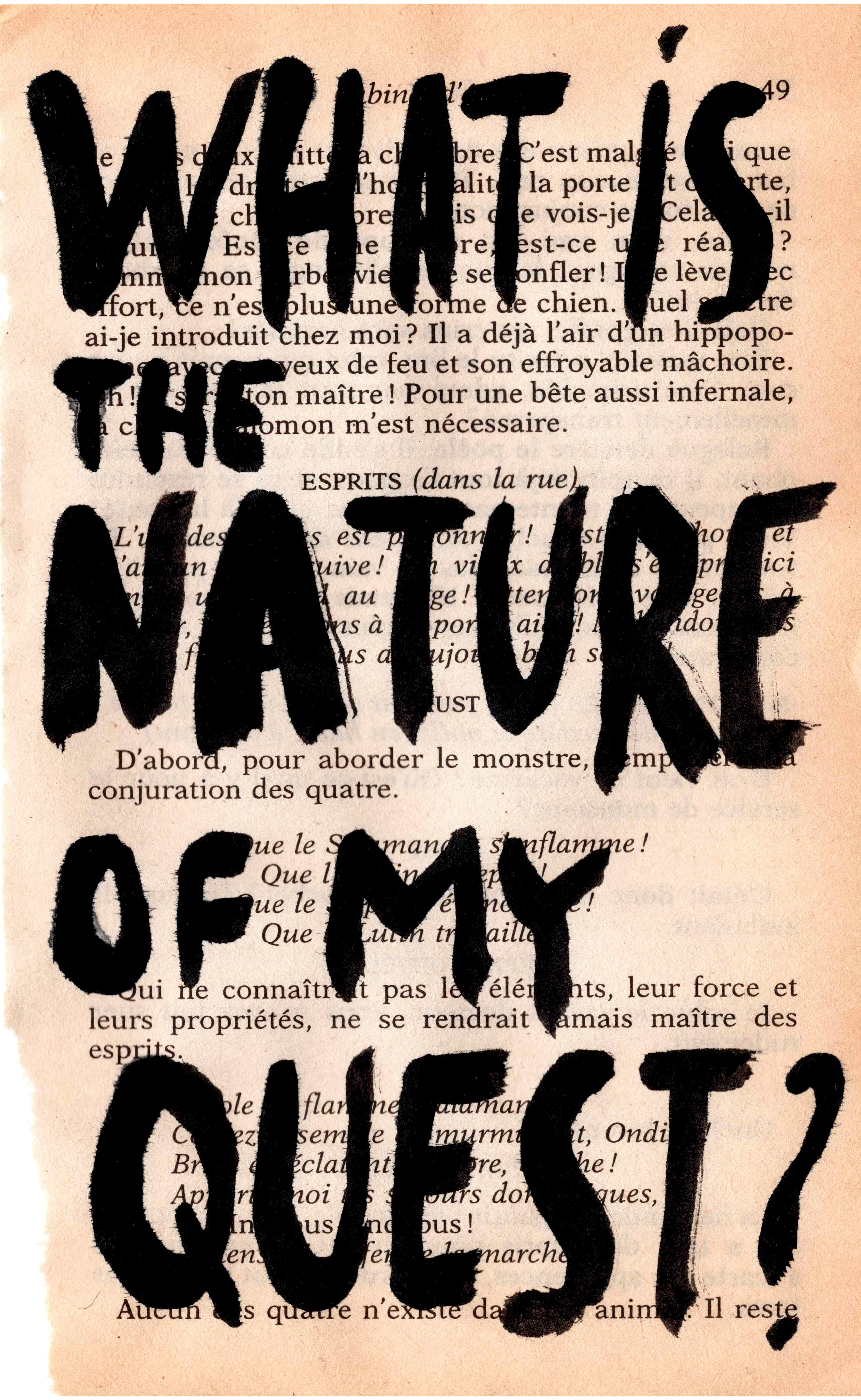 What is the nature of my quest