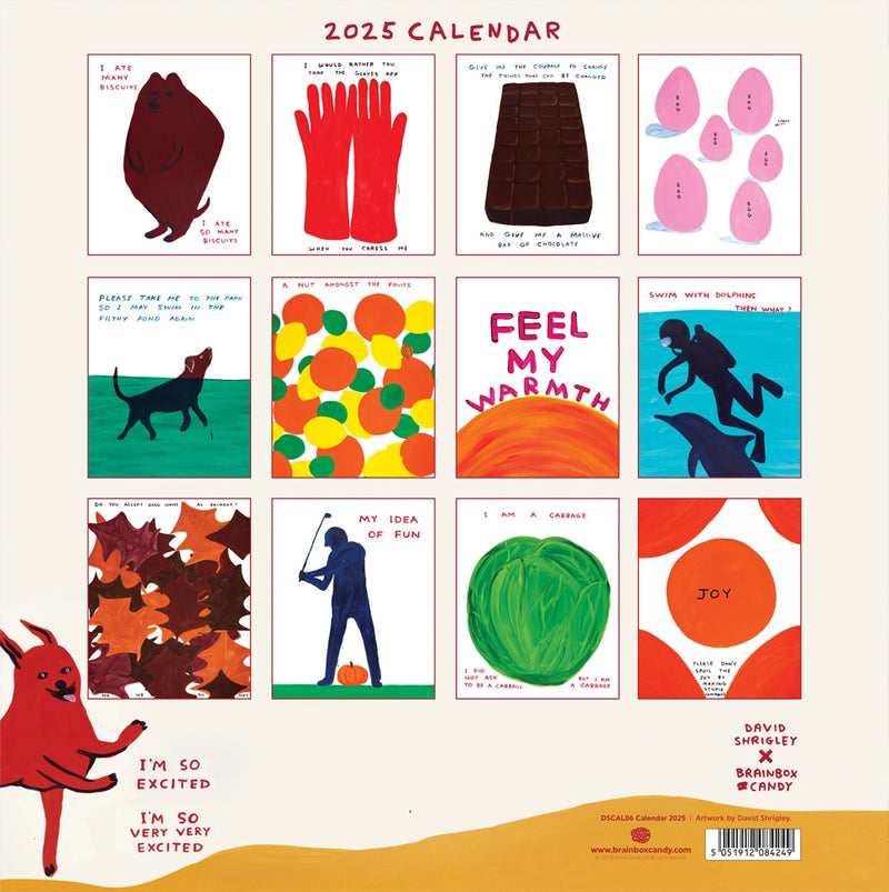  Colourful 2025 calendar by British artist David Shrigley, available at www.cuemars.com