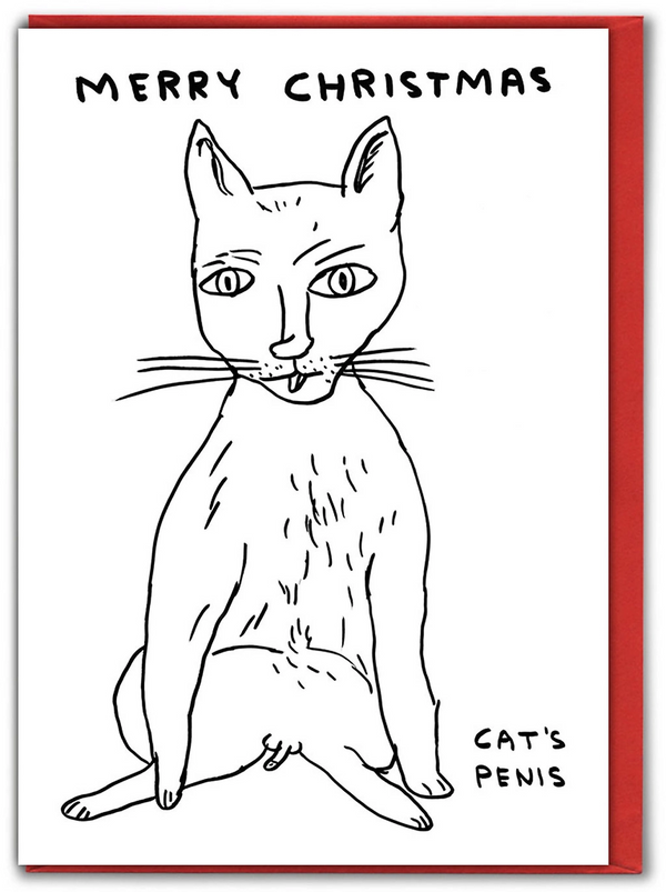 a naked cat showing its penis by Scottish artist David Shrigley, available at cue mars.com