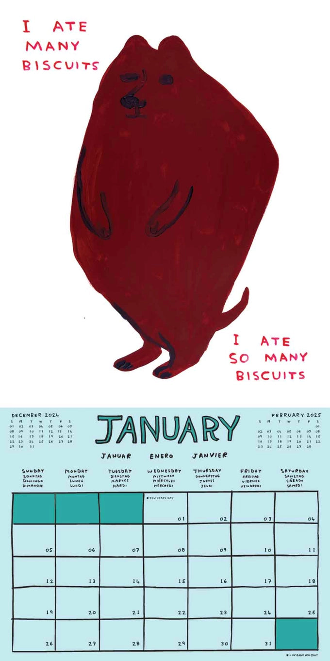 Colourful 2025 calendar by British artist David Shrigley, available at www.cuemars.com
