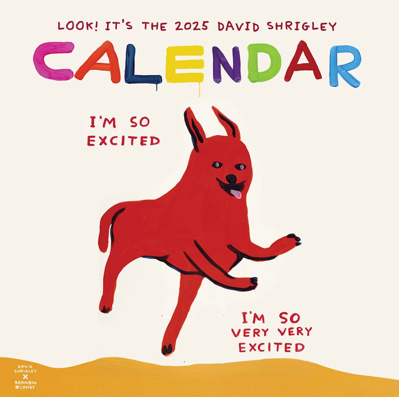 Colourful 2025 calendar by British artist David Shrigley, available at www.cuemars.com