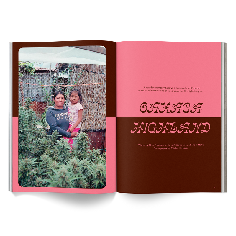 broccoli mag Magazine for cannabis lovers