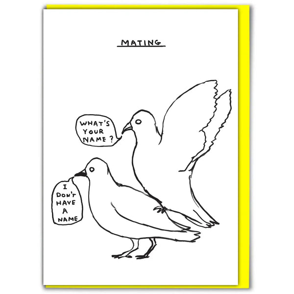 Funny-David-Shrigley-Mating-Pigeons-Birthday-Card-cuemars