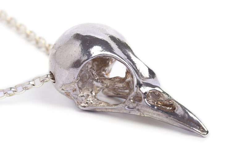 Sterling Silver Long Bird Skull Necklace