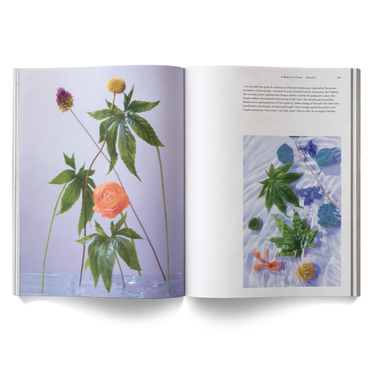 a weed is a flower photography book by Broccoli magazine, available at cuemars.com