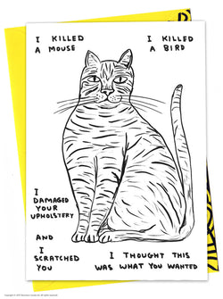 Cat with text I Killed a Mouse - I Killed Birds - I damaged your upholstery - and I scratched you - I thought this was what you wanted. Black and white greeting card illustrated by David Shrigley