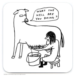 a coaster of a cow being milked by a human saying What the Hell are you doing? illustrated by Scottish artist David Shrigley and available to purchase at cuemars.com