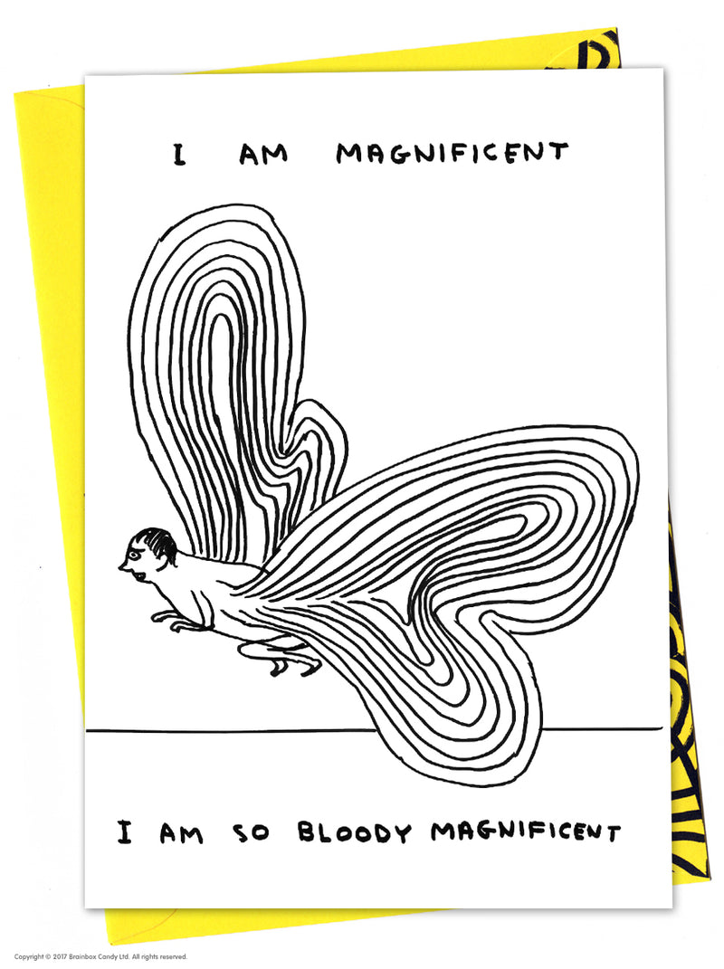 a man with butterfly wings with the text I am Magnificent - I am so Bloody magnificent.Black and white greeting card illustrated by David Shrigley