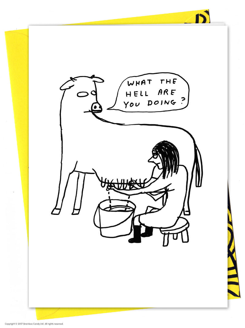 a cow being milked by a woman. the cow says what the hell are you doing? greeting card by David Shrigley