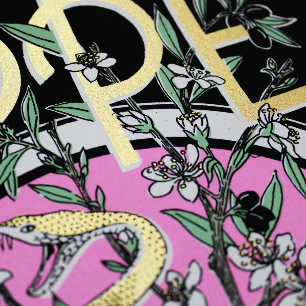 Close up details of Jacqueline Colley Hope is Fearless screen print