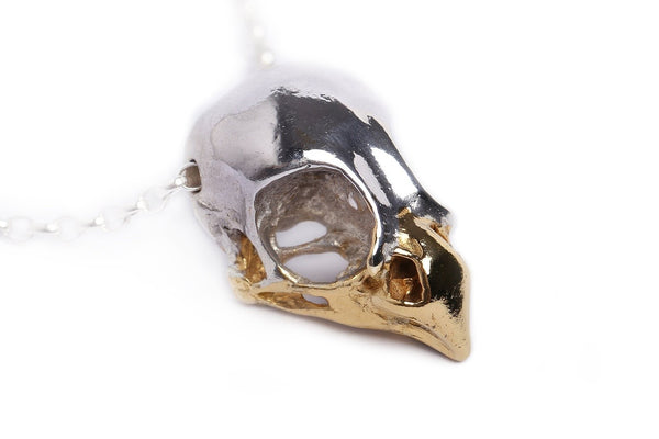 handmade bird skull necklace by misan jewellery in sterling silver and 24ct gold plated beak