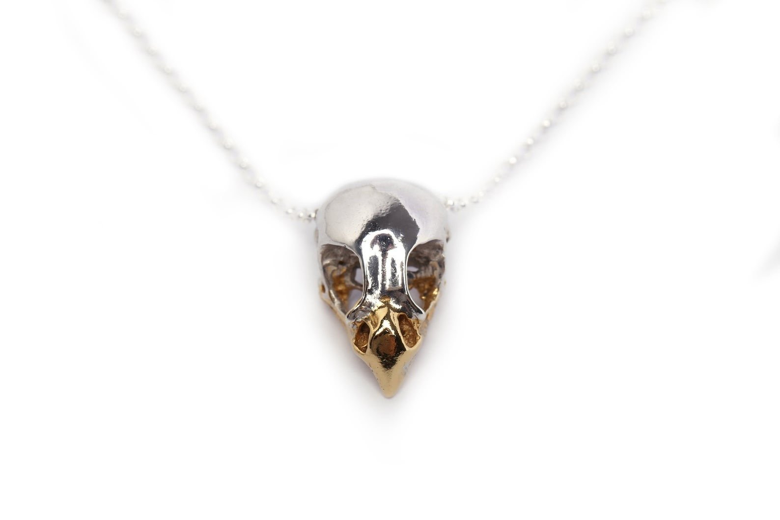 Handmade bird of prey skull necklace in sterling silver with a 24ct gold plated beak