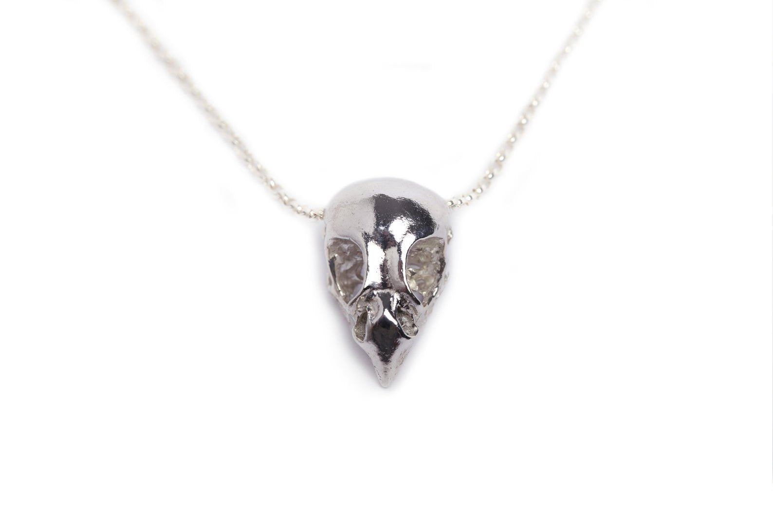 Handmade statement necklace made out of sterling silver and an ethically sourced bird of prey skull cast