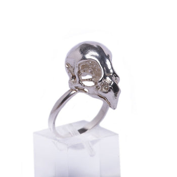 Sterling Silver Bird of Prey Skull ring