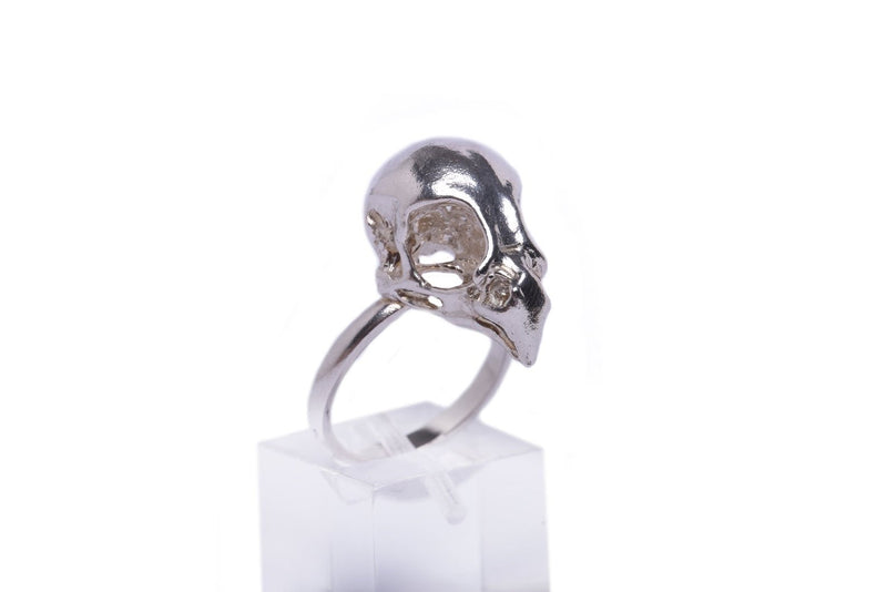 Details of this handmade bird of prey skull ring in sterling silver