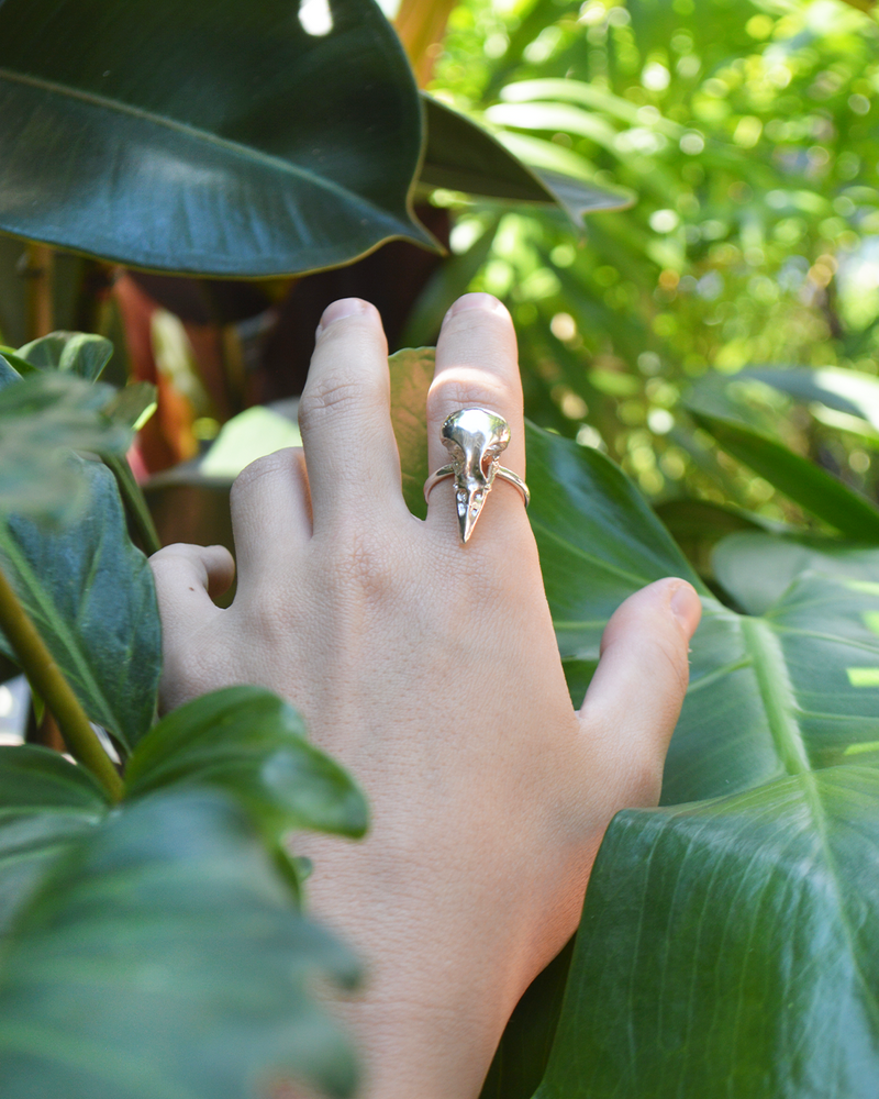 Close up details of handmade large bird skull statement ring in sterling silver