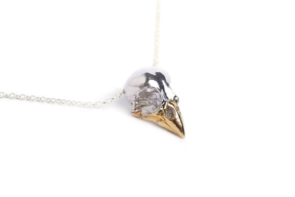 Handmade finch bird skull by MISAN jewellery in sterling silver and 24ct gold plated beak