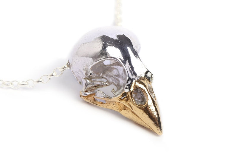 Close up details of handmade finch bird skull necklace in sterling silver and a 24ct gold beak
