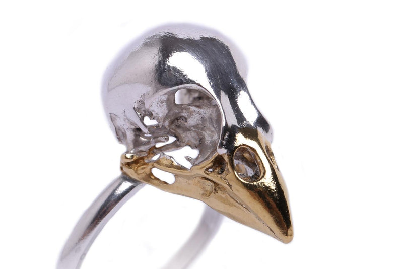 Close up details of handmade finch skull ring in sterling silver with a 24ct gold plated beak