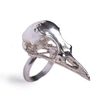Sterling Silver Large bird skull ring