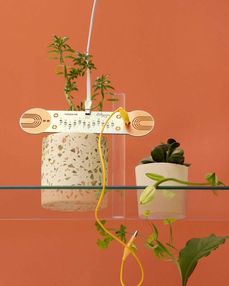 TouchMe by Playtronica. MIDI controller to enable interactive audio and make music from plants. Make plants your instrument.