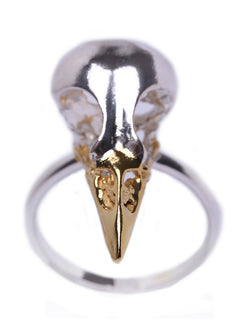 Small Magpie Skull Ring with sterling silver x 24ct gold plated beak by MISAN