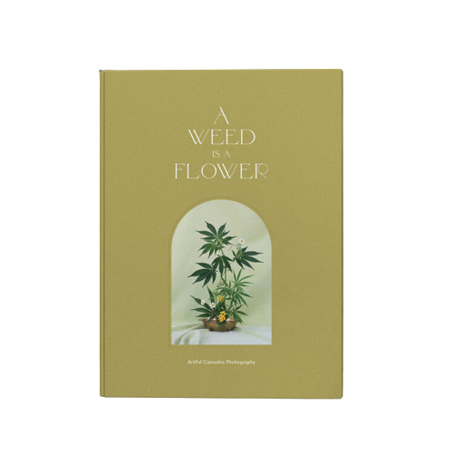 a weed is a flower photography book by Broccoli magazine, available at cuemars.com